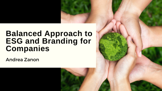 Balanced Approach to ESG and Branding for Companies