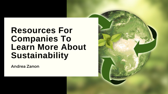 Resources For Companies To Learn More About Sustainability