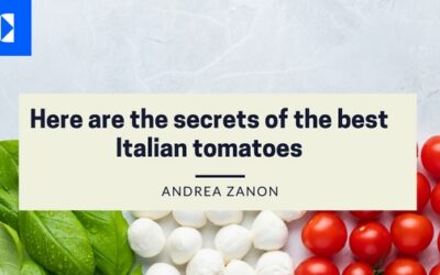Unveiling the Seductive Secrets of Italy’s Finest Tomatoes