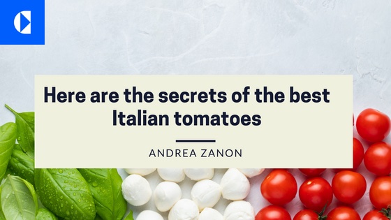 Unveiling the Seductive Secrets of Italy’s Finest Tomatoes